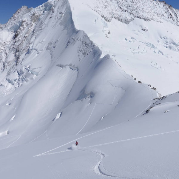 Abfahrt Blanc de Moming - Tour du Ciel - Walliser Skidurchquerung mit Bergf&uuml;hrer - Catores