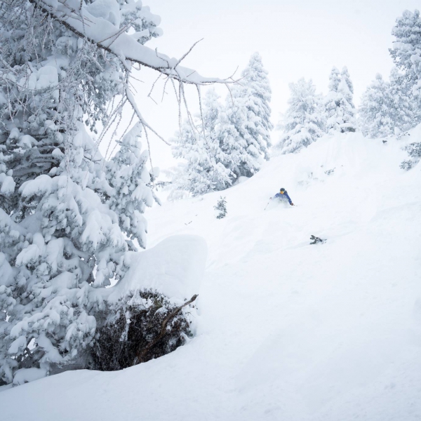 Giornate di neve fresca nelle Dolomiti - Tour freeride individuale con guida alpina - Catores