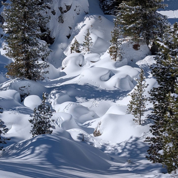 Paesaggio invernale con tracce di animali nella neve - Ciaspolata Mareufer - Catores