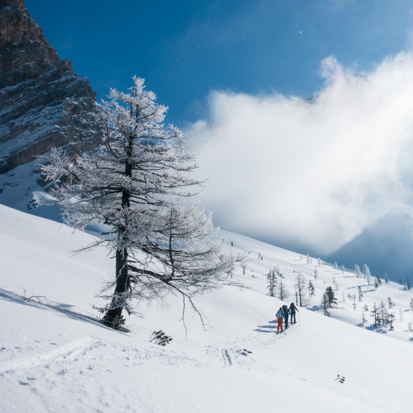  - Ski tour for beginners - Catores