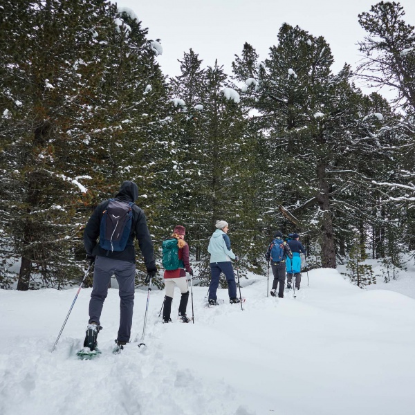 Herrliche Zirbelw&auml;lder nahe Col Raiser - Schneeschuhwanderung unter den Geislerspitzen - Catores