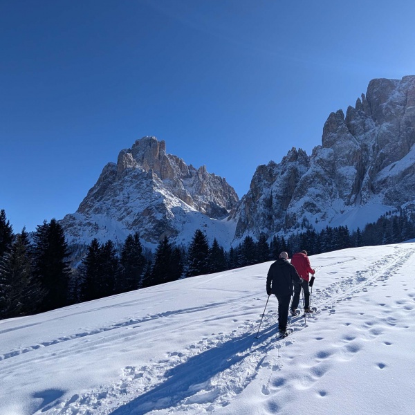 Sassolungo e Sassopiatto sullo sfondo - Ciaspolata sotto il Sassolungo - Alpe di Siusi - Catores