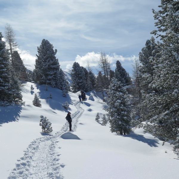 Paradiso invernale all'Alpe di Siusi - Ciaspolata sotto il Sassolungo - Alpe di Siusi - Catores