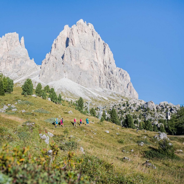 Hike around the Sassolungo - Privat guided hikes in Val Gardena - Catores