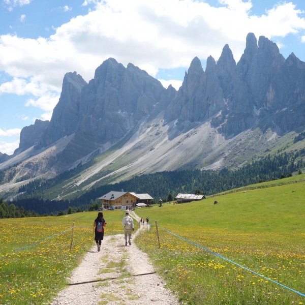 Malga Brogles - Privat guided hikes in Val Gardena - Catores
