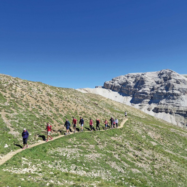 Stevia - Col dala Pieres - Privat guided hikes in Val Gardena - Catores