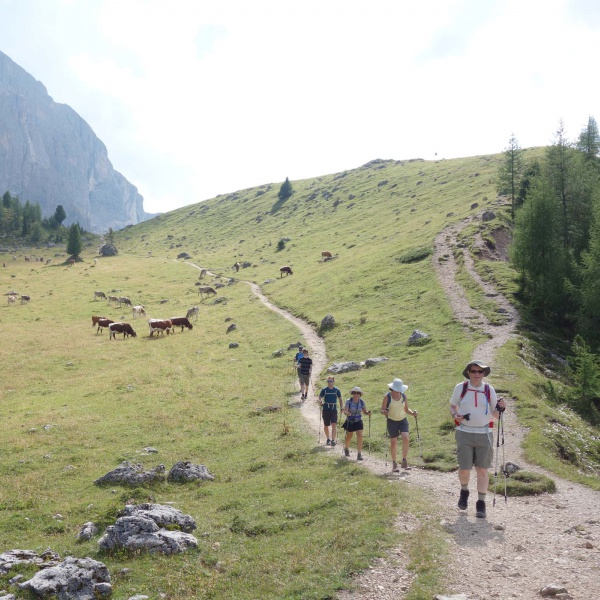 Monte Pana - Rifugio Vicenza - Escursioni Val Gardena Active - Catores