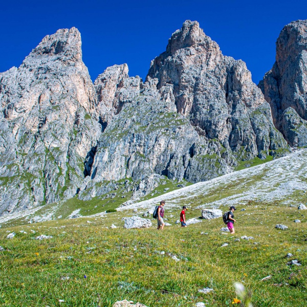 Sotto le Odle - Escursioni Val Gardena Active - Catores